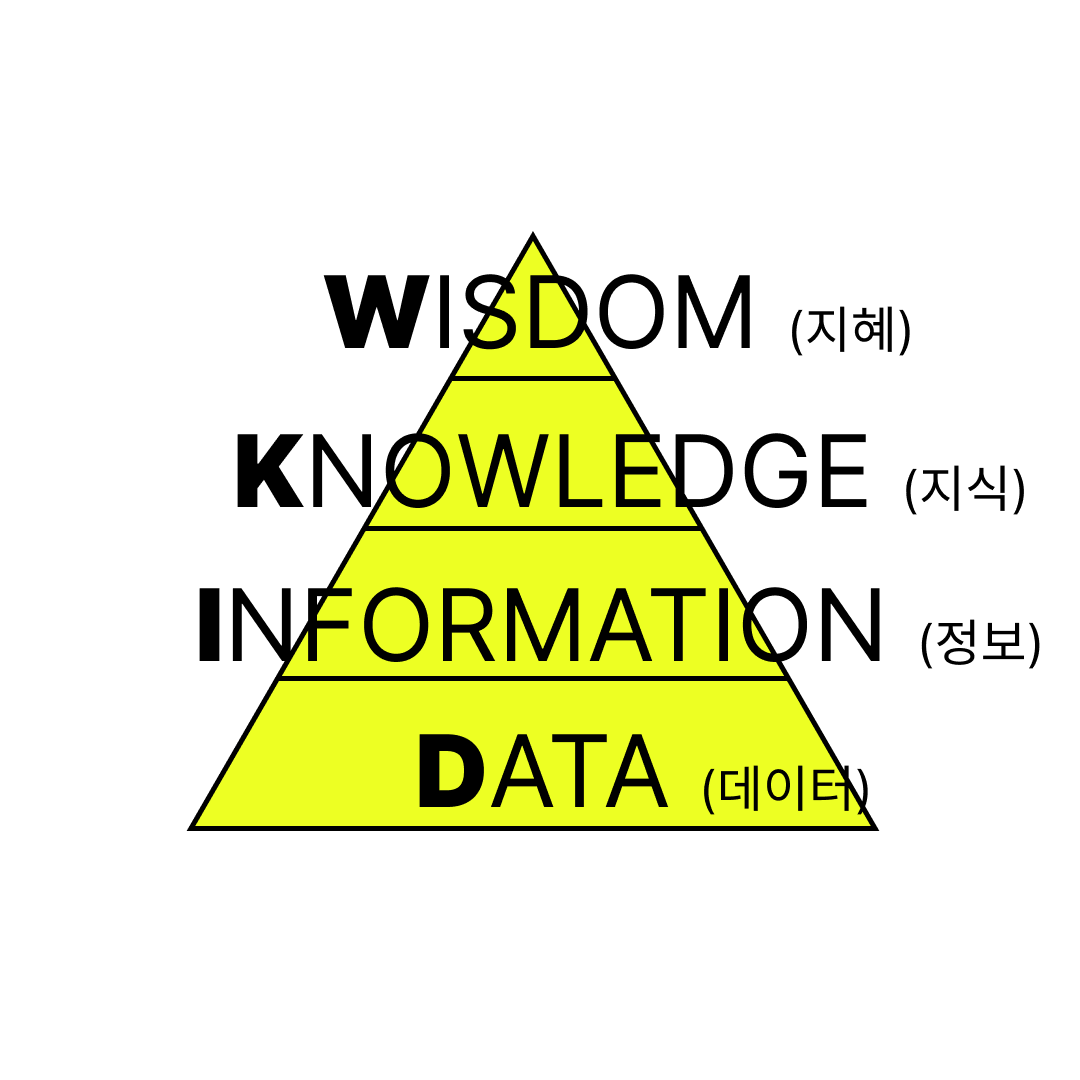 솔로프리너 DIKW 피라미드 이론